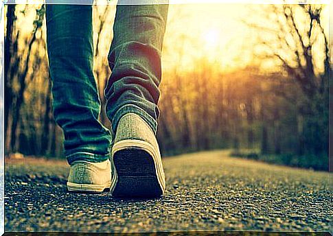 Person walking on road in forest