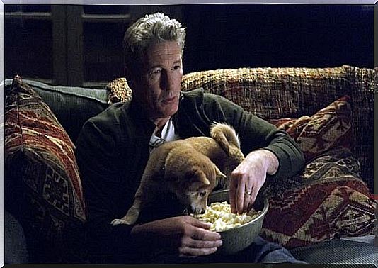 Hachi: a dog's tale, an example of sad movies