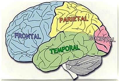 Brain patches: Characteristics and features