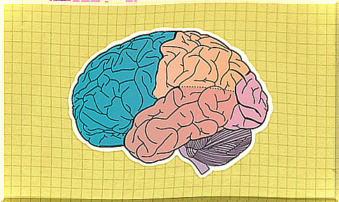 Brain patches are illustrated with light and colors