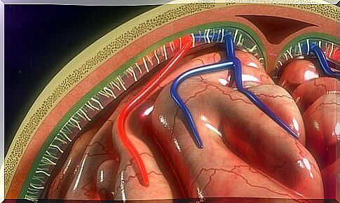 Meningitis: Structure and function