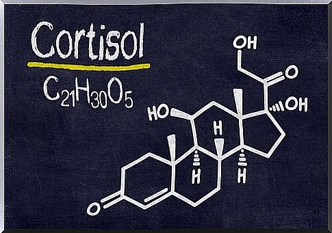 Cortisol, the hormone associated with stress