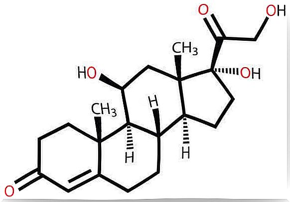 Cortisol