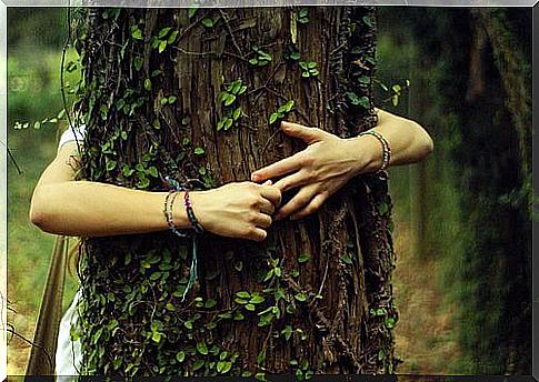 Woman hugs tree to show gratitude for nature