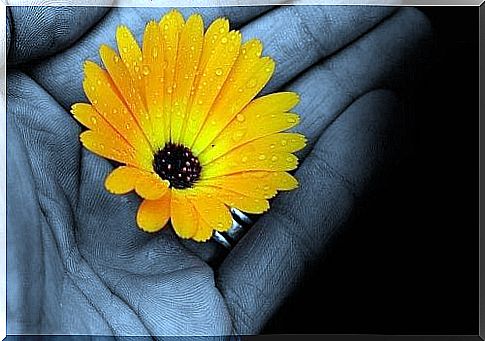 A yellow flower in one hand