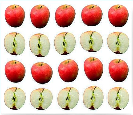 Half and whole apples symbolize statistics