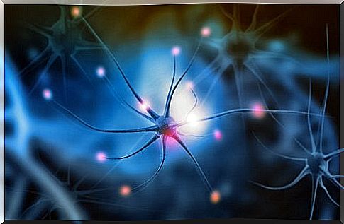 Neurons play an important role in migraines and dopamine