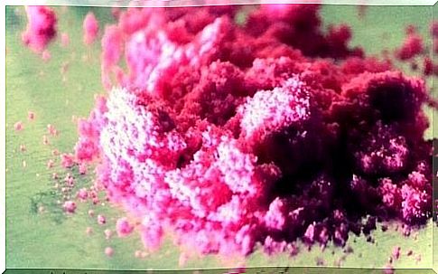 2C-B in the form of pink powder