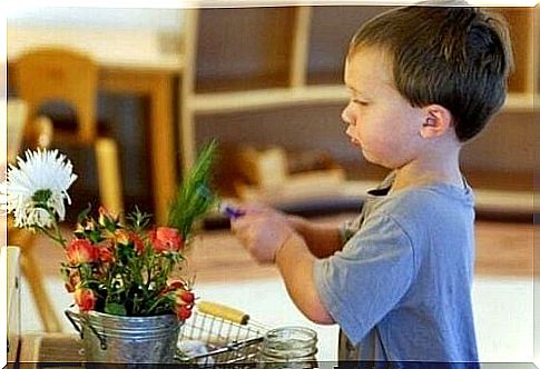 Child playing with a plant