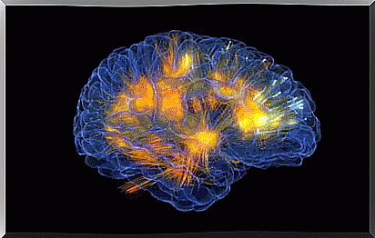 Animation of the mystery behind the consciousness in the brain